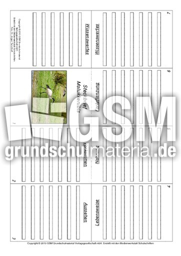 Faltbuch-Molukkenibis.pdf